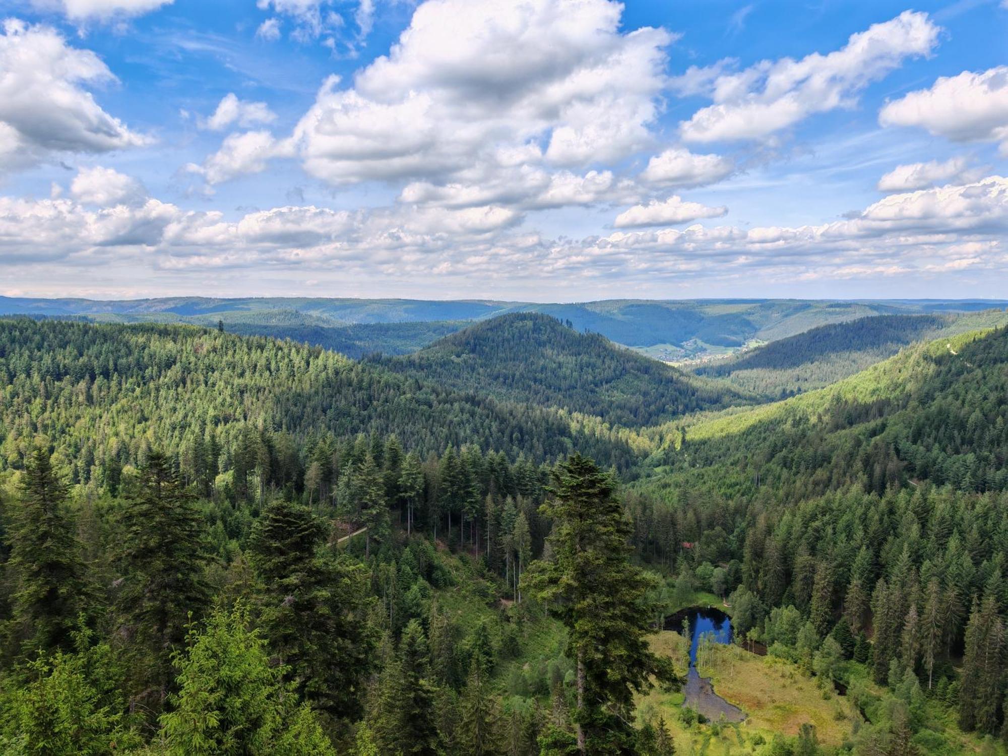 Gasthof "Zum Steinwald" Лосбург Екстер'єр фото