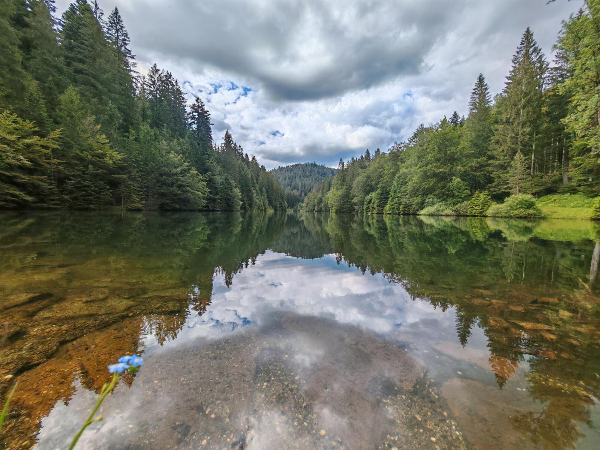 Gasthof "Zum Steinwald" Лосбург Екстер'єр фото
